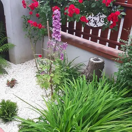 Apartament Maksymiliana * Bielsko-Biala